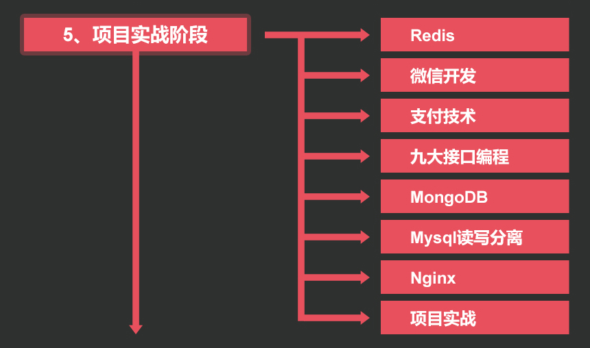 5.项目实战阶段