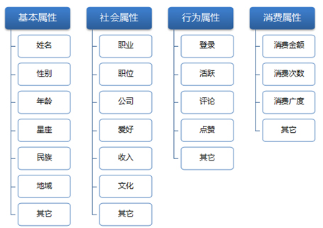 新媒体+短视频运营