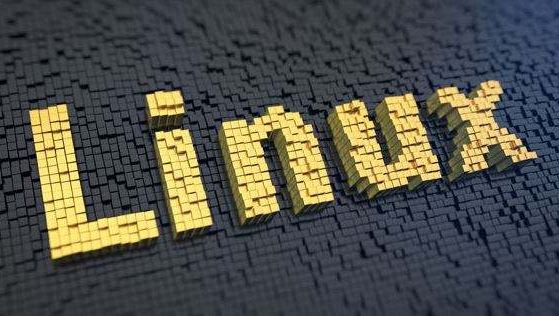 linux命令基本格式