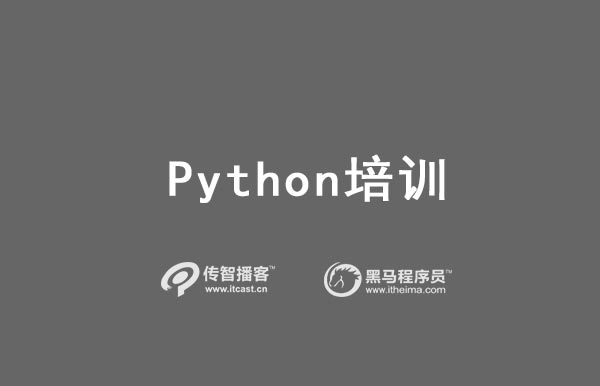 python费用