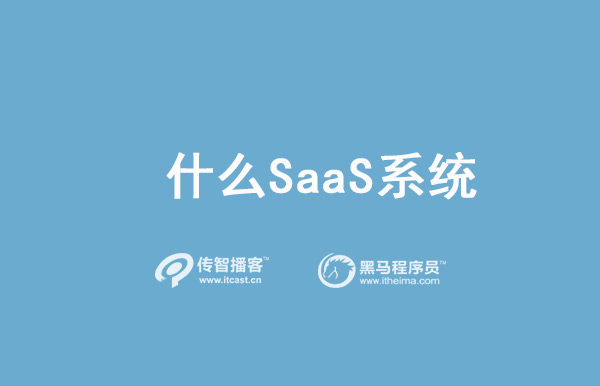 SAAS系统