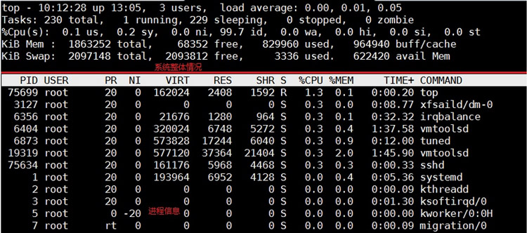 进程检测与控制2.1.0