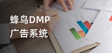 大数据工程师培训项目：蜂鸟DMP广告系统
