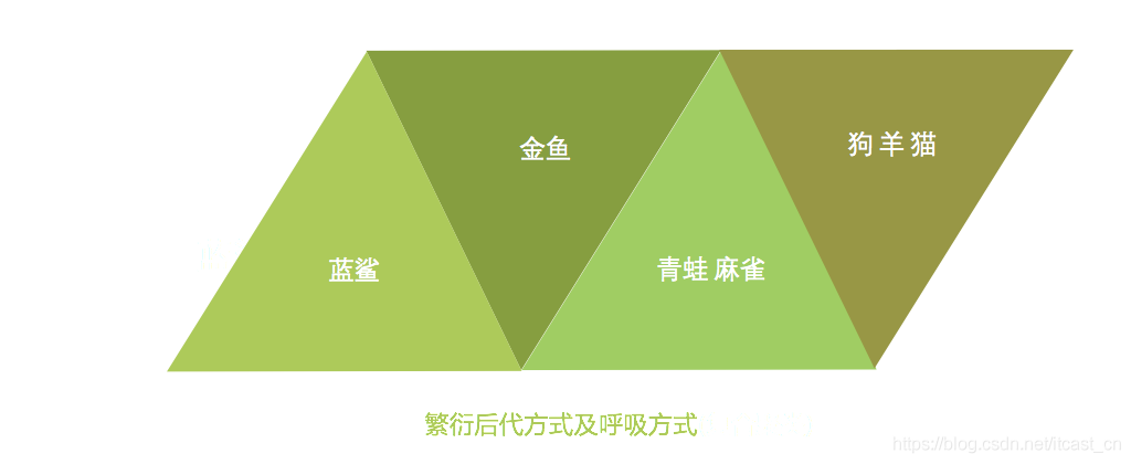 机器学习中入门级必学的算法