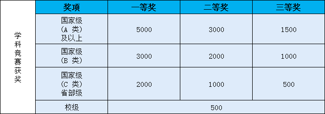 学科竞赛奖项